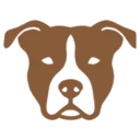 American staffordshire terrier
