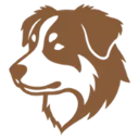 Australian shepherd