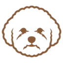 Bichon frisé