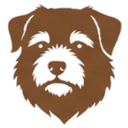 Borderterrier