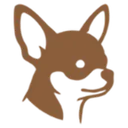 Chihuahua, korthårig
