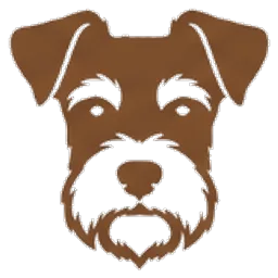 Dvärgschnauzer, svart & silver