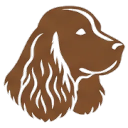 Cocker spaniel