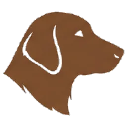 Flatcoated retriever