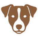 Jack russell terrier