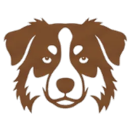 Miniature american shepherd