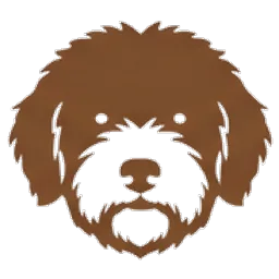 Perro de agua español