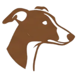 Whippet